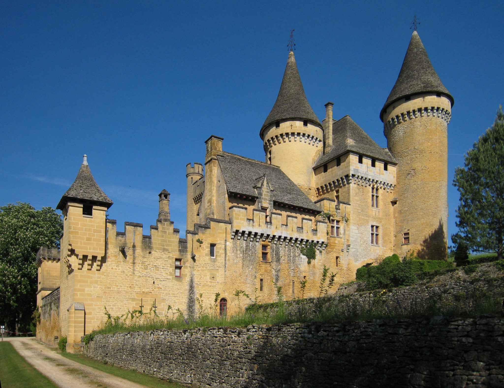 Château de Puymartin