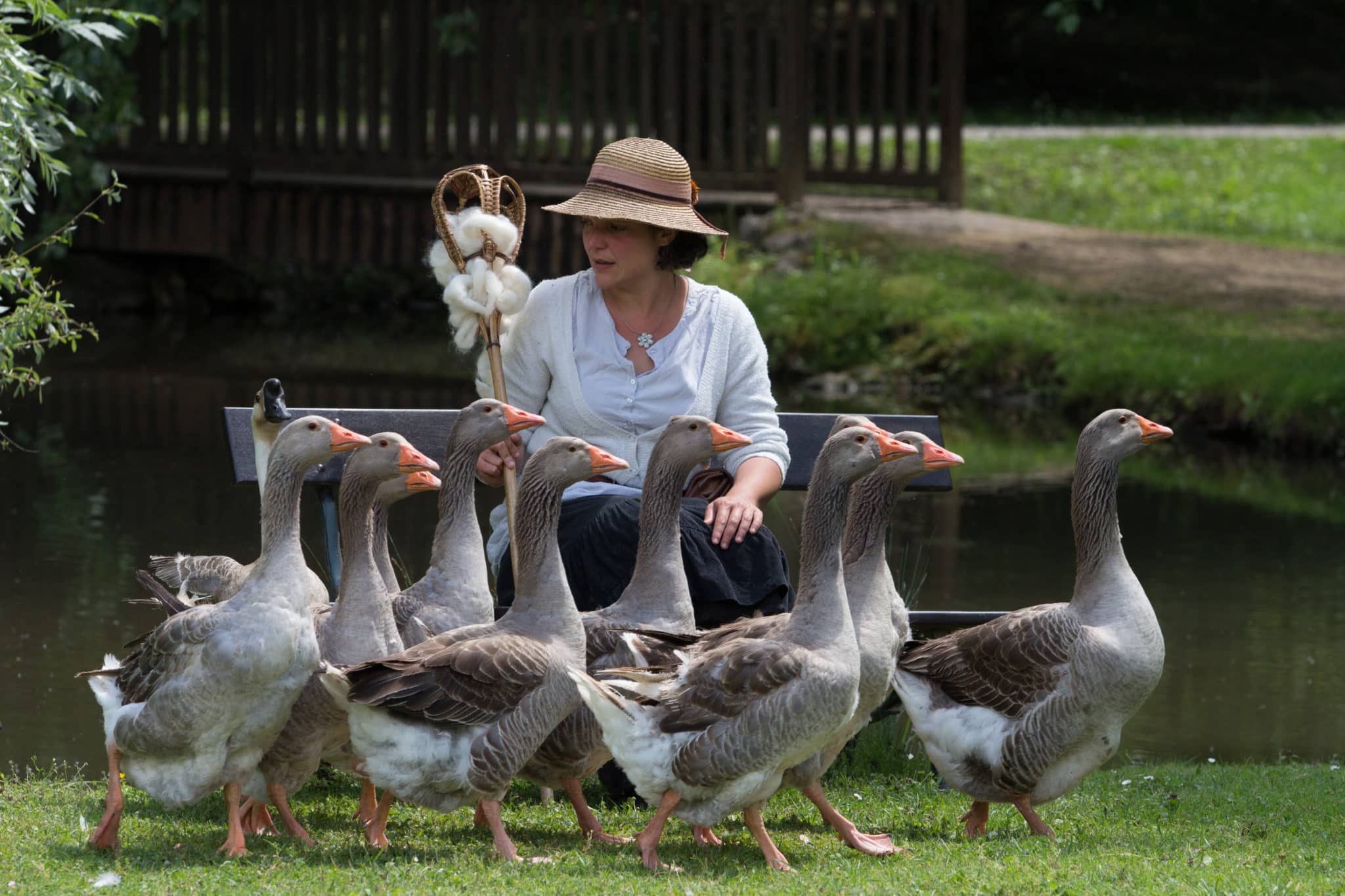 Bergère et oies Parc du Bournat