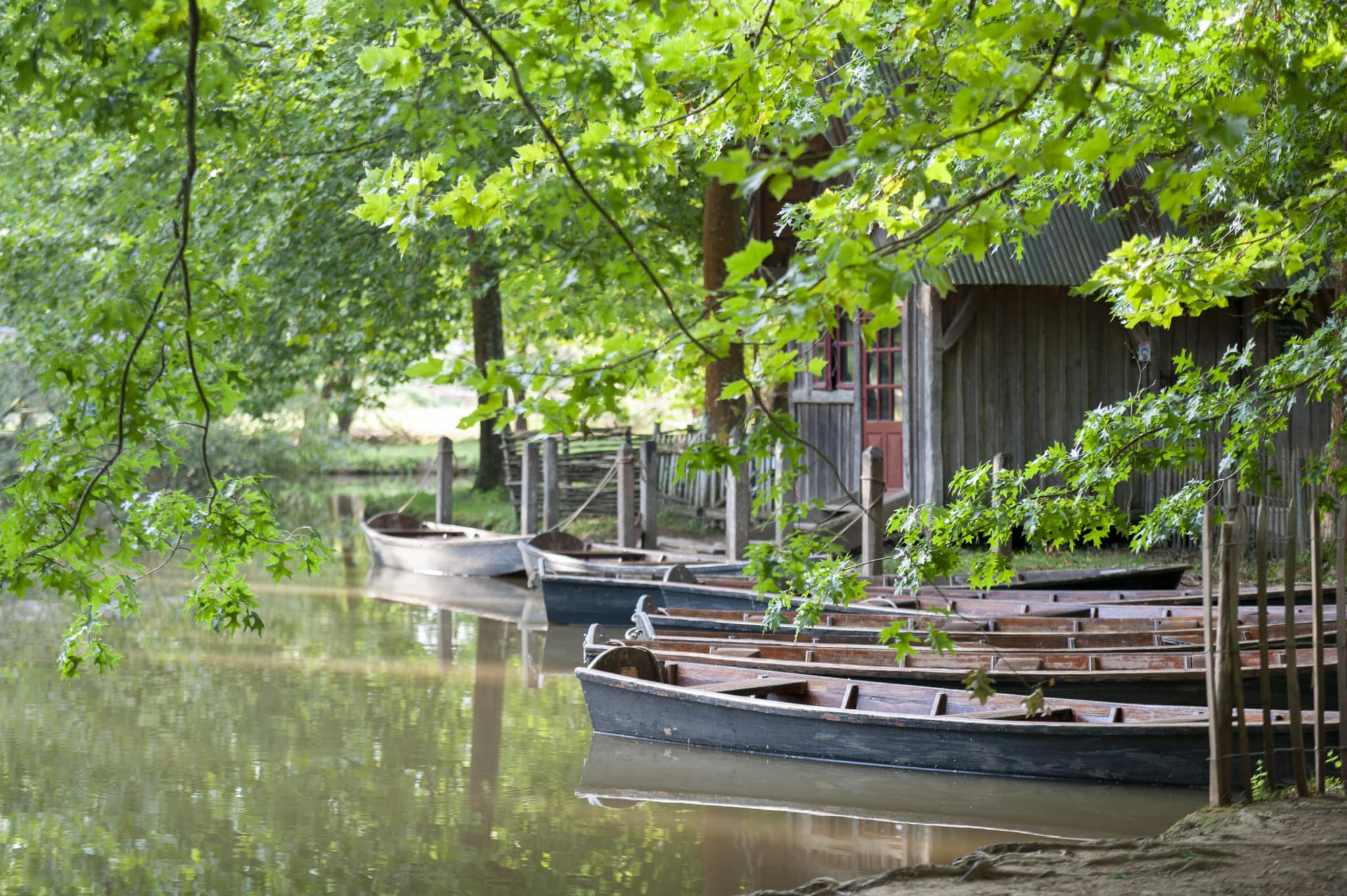 Barques en bois Parc du Bournat